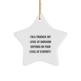 Gifts from Friends for the Trucker in Your Life - Funny Trucker Star Ornament - White Star Shaped Christmas Unique Gifts for Him - Image 1